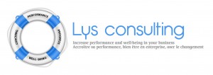 Lys consulting